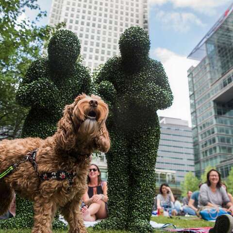 The Human Hedges meeing a dog in London