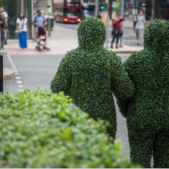 You'll find the Human Hedges in all sorts of unusual places!